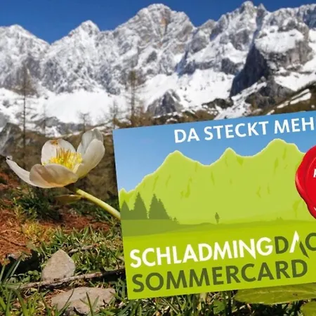 Apartment - Neualm Center *